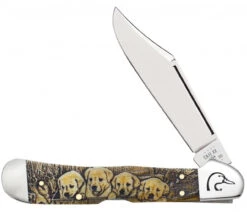 Case Copperlock 172525 Ducks Unlimited Embellished Smooth Natural Bone Handle (61549L SS) - Gift Set