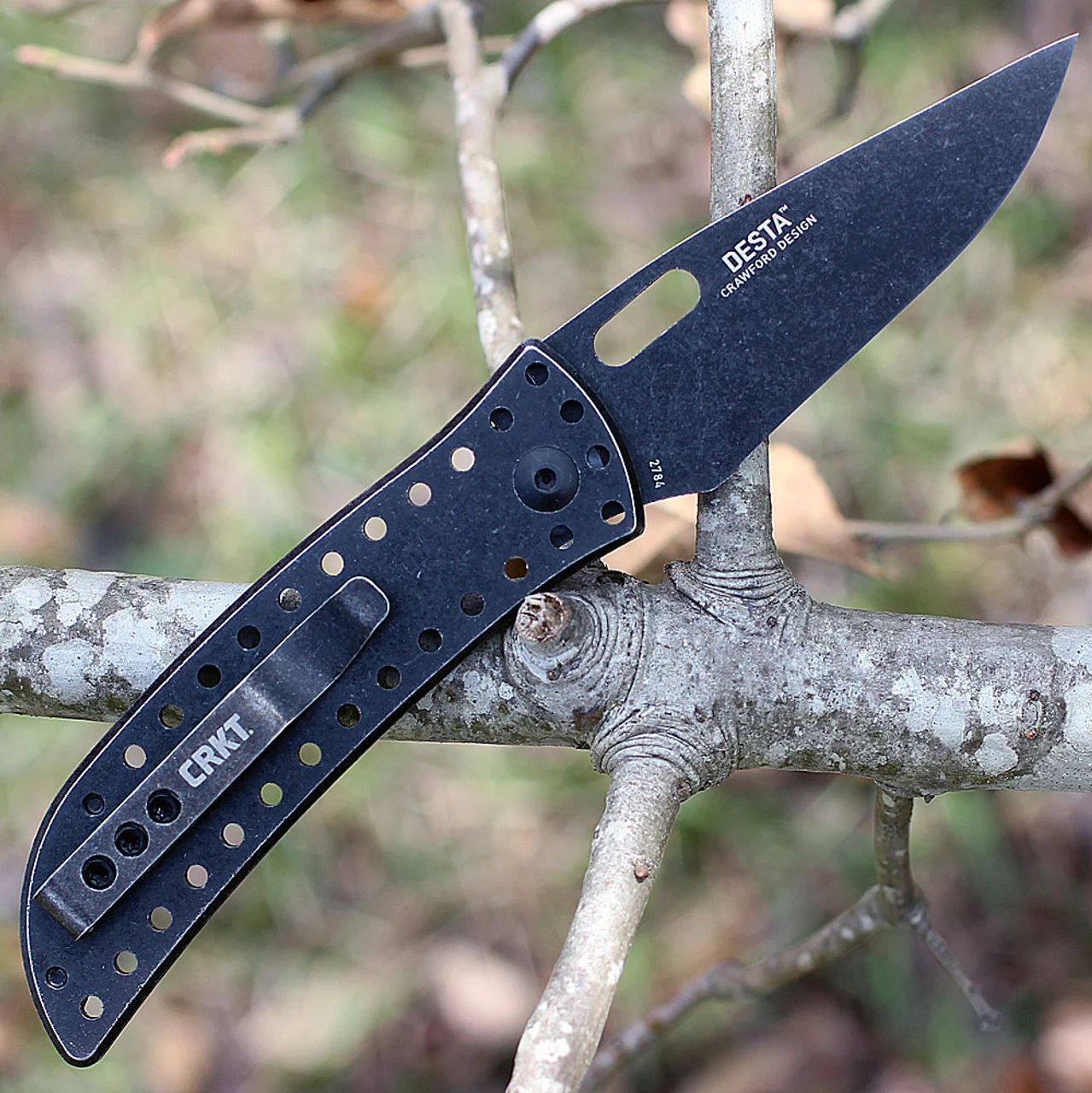 CRKT 2784 Desta, 2.57" 8Cr13MoV SS, Plain Blade, SS Handle - Image 2