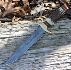 Damascus 1032 Bowie, 9" Damascus Plain Blade, Stag Handle