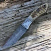 Damascus 1050RM Hunter, 4" Damascus Plain Blade, Ram's Horn Handle