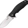 Dendra Typhoon, D2 Tool Steel Satin Finish Blade